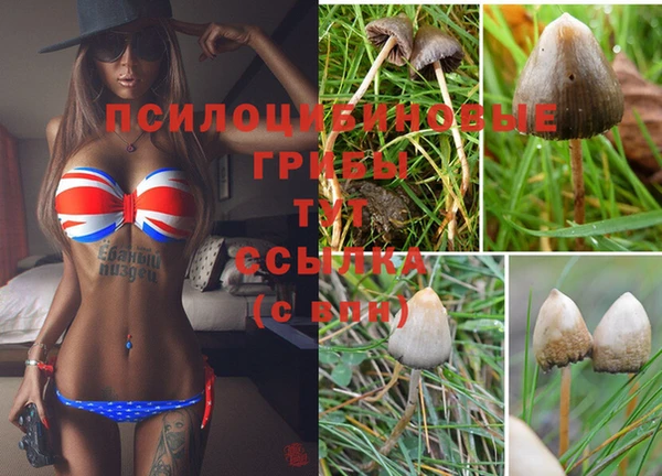 гидропоника Арсеньев