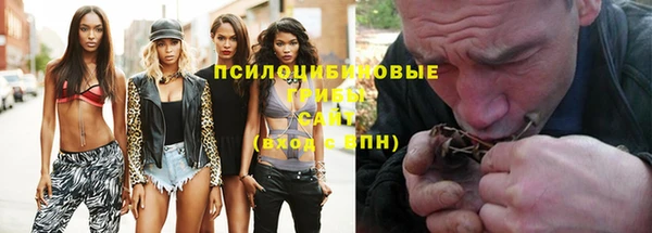 гидропоника Арсеньев